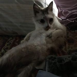 Meet your Posher, Tonya